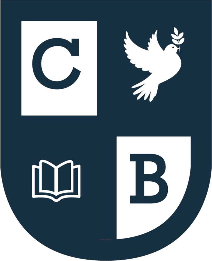 Logo cbap 2016 ok(6)